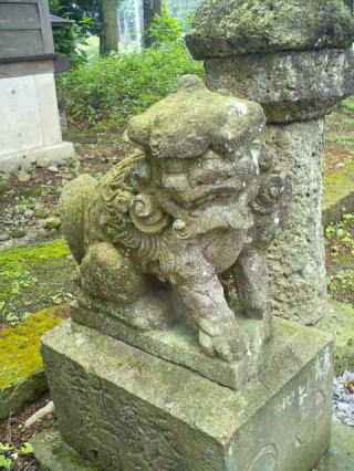熊野神社の狛犬　６